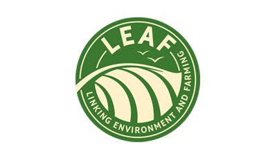 Leaf logo