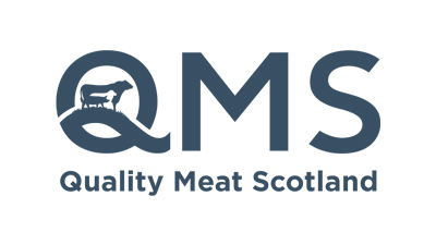 QMS logo